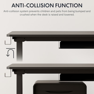Flexispot EZ2 48"W Electric Adjustable Standing Desk, Black (EZ2B-E)