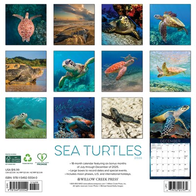 2026 Willow Creek Sea Turtles 12 x 12 Monthly Wall Calendar (55540)