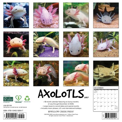 2027 Willow Creek Axolotls 12 x 12 Monthly Wall Calendar, Assorted Colors (58947)