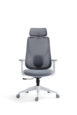 Raynor Group Torque Ergonomic Fabric/Mesh Swivel Manager Chair, Grey/White (TORQUE-WF-GRY )