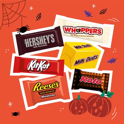 Hershey Assorted Flavored Chcocolate Variety Bulk Bag, 51.03 oz., 165 Pieces (HEC45878)