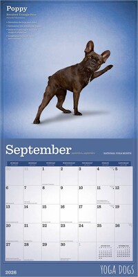 2026 BrownTrout Yoga Dogs 12" x 12" Monthly Wall Calendar (9798330701933)