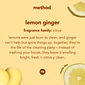 Method Squirt + Mop Hard Floor Cleaner, Lemon Ginger, 25 oz. (00563)