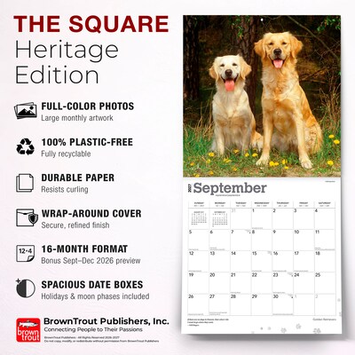 2027 BrownTrout Golden Retrievers 12" x 12" Monthly Wall Calendar (9798330712472)