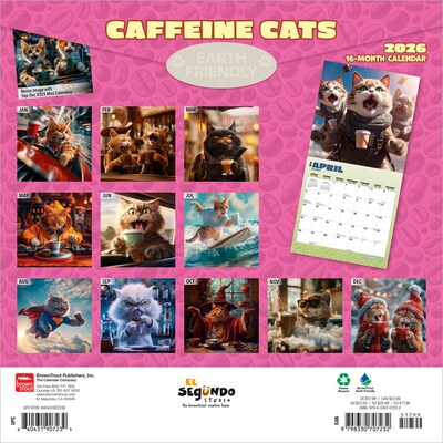 2026 BrownTrout Caffeine Cats 12 x 12 Monthly Wall Calendar (9798330707232)