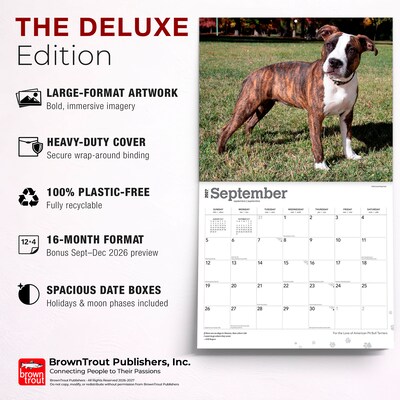2027 BrownTrout For the Love of American Pit Bull Terriers 14" x 12" Monthly Wall Calendar, Assorted Colors (9798330714759)