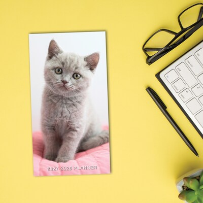 2026-2028 Willow Creek Kitten 3.5" x 6.5" Monthly Pocket/Wallet Calendar, Assorted Colors (66270)