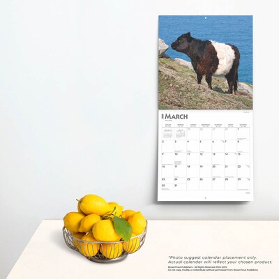 2025 BrownTrout Cows 12" x 12" Monthly  Wall Calendar (9781975476892)