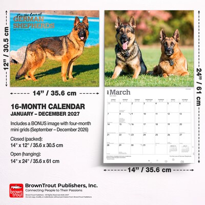 2027 BrownTrout For the Love of German Shepherds 14" x 12" Monthly Wall Calendar, Assorted Colors (9798330709250)
