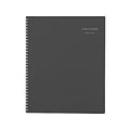 2023-2024 AT-A-GLANCE DayMinder 9.25 x 11.13 Academic Weekly & Monthly Planner, Charcoal (AYC545-45-24)