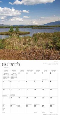 2024 BrownTrout New Hampshire Wild & Scenic 12" x 24" Monthly Wall Calendar (9781975464196)