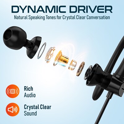 Delton 24ECA Wired Stereo Earbuds with Microphone, USB-C and USB-A Adapter, Black (DWH24ECA)