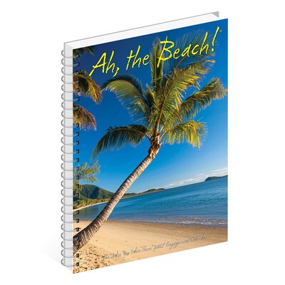2027 Willow Creek Ah The Beach! 6.5" x 8.5" Weekly & Monthly Desk Calendar (64313)