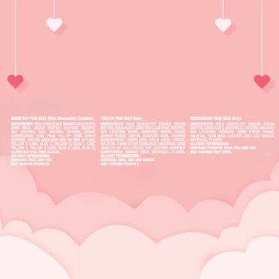 Mars Valentine's Exchange Fun Size Assorted Chocolates, 25/Bag (MMM60567)
