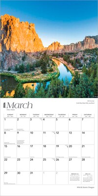 2026 BrownTrout Oregon Wild & Scenic 12" x 12" Monthly Wall Calendar (9798330705009)