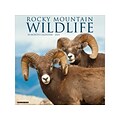 2023 Willow Creek Rocky Mountain Wildlife 12 x 12 Monthly Wall Calendar (27462)