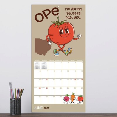 2027 TF Publishing Home: Ohio 12" x 12" Monthly Wall Calendar, Multicolored (27-1131)
