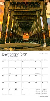 2026 BrownTrout Georgia on My Mind 12" x 12" Monthly Wall Calendar (9798330703333)