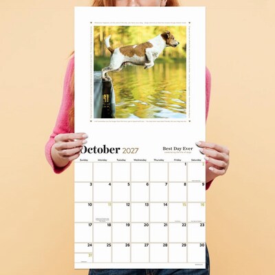 2027 TF Publishing Best Day Ever: Dogs 12" x 12" Monthly Wall Calendar (27-1001)
