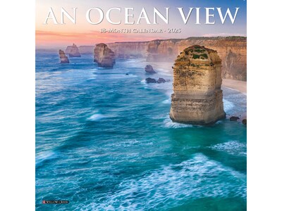 2025 Willow Creek Ocean View 7" x 7" Monthly Wall Calendar (45893)