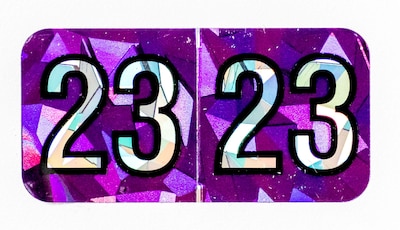 Medical Arts Press® Holographic End-Tab 2023 Year Label, 1-1/2 x 3/4, Violet, 500/Roll (0723HV)