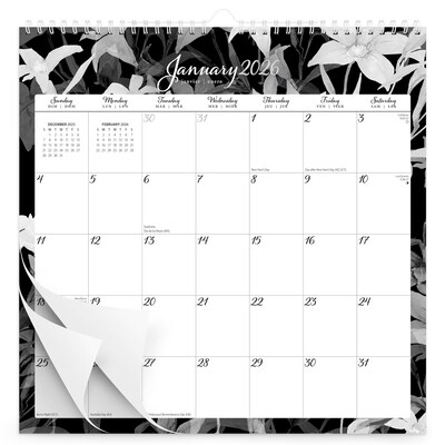 2026 BrownTrout Pen & Ink 12" x 12" Monthly Wall Calendar (9798330705092)