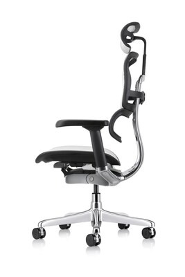 Eurotech Ergohuman Gen2 High Back Mesh Office Chair w/ Headrest, Gray (ME7ERG-GEN2-GRY)