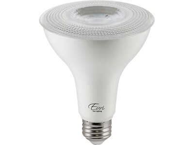 Viribright 10-Watt Warm White LED Floodlight Bulb, 6/Box (450152-ES)