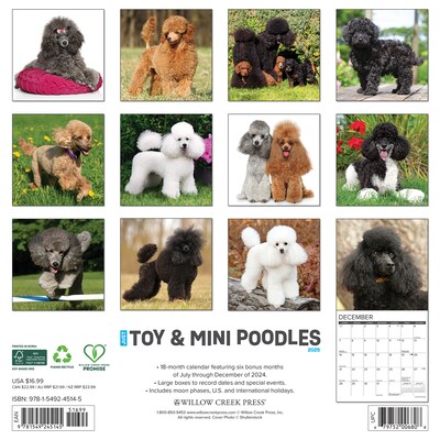 2025 Willow Creek Just Toy and Miniature Poodles 12 x 12 Monthly Wall Calendar (45145)