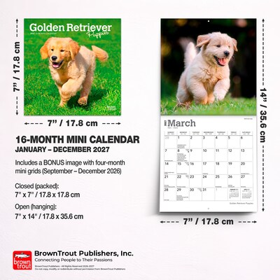 2027 BrownTrout Golden Retriever Puppies 7" x 7" Monthly Wall Calendar, Assorted Colors (9798330710010)