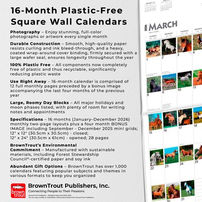 2026 BrownTrout 365 Days of Horses 12" x 12" Monthly Wall Calendar (9798330703760)