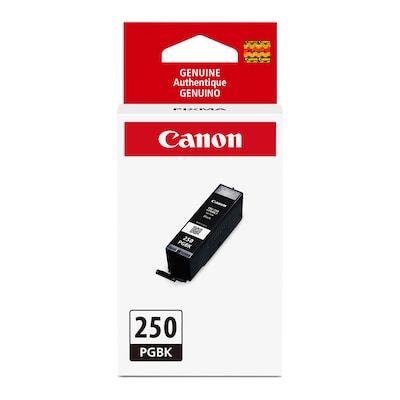 Canon 250 Black Standard Yield Ink Cartridge (6497B001)