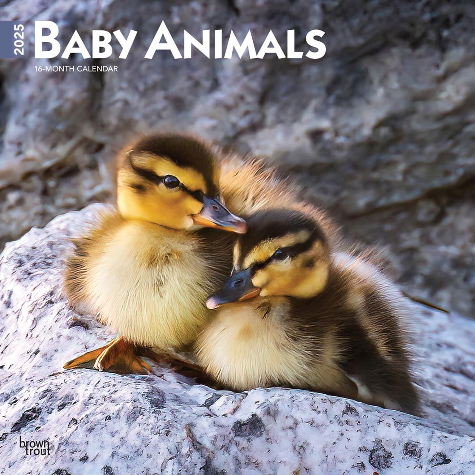 2025 BrownTrout Baby Animals 12 x 12 Monthly Square Wall Calendar (9781975476564)