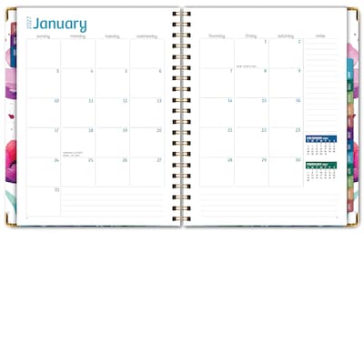 2027 Excello Brands 7.8" x 9" Weekly & Monthly Standard Planner, Paperboard Cover, Rainbow Floral (FSHN-CY27-79-53)
