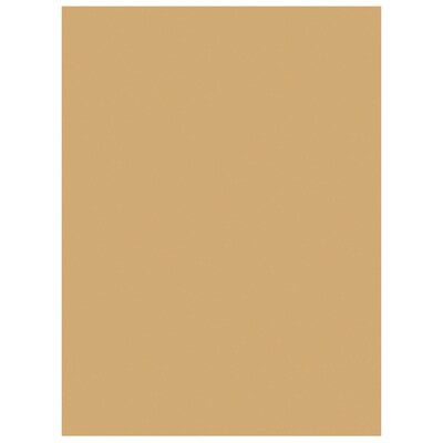 Tru-Ray 9" x 12" Construction Paper, Almond, 50 Sheets/Pack, 5 Packs/Bundle (PAC103067-5)