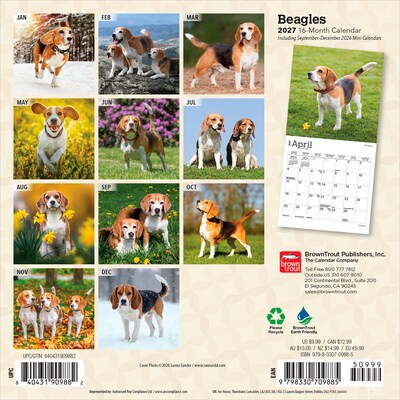 2027 BrownTrout Beagles 7 x 7 Monthly Wall Calendar, Assorted Colors (9798330709885)