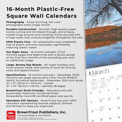 2025 BrownTrout New Mexico Wild & Scenic 12" x 12" Monthly Square Wall Calendar (9781975475406)