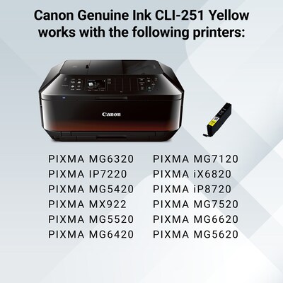 Canon 251Y Yellow Standard Yield Ink Cartridge (6516B001)