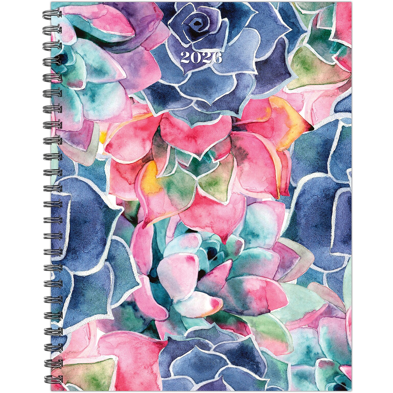 2026 Willow Creek So Very Succulent 8.5 x 11  Weekly & Monthly Planner, Paperboard Cover (57377)