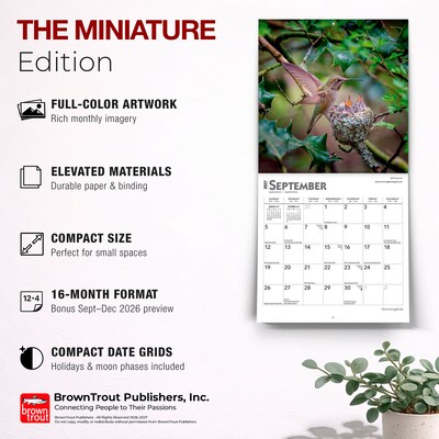 2027 BrownTrout Hummingbirds 7" x 7" Monthly Wall Calendar (9798330709830)