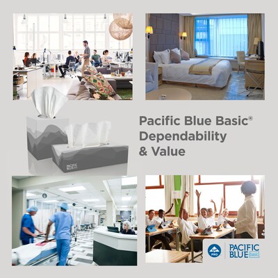 Pacific Blue Basic Facial Tissue, 2-ply, 100 Tissues/Box, 30 Boxes/Pack (47410)