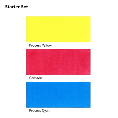 Daler-Rowney FW Acrylic Ink, Assorted Colors, 29.5ml, 4/Set (DRW160100300)