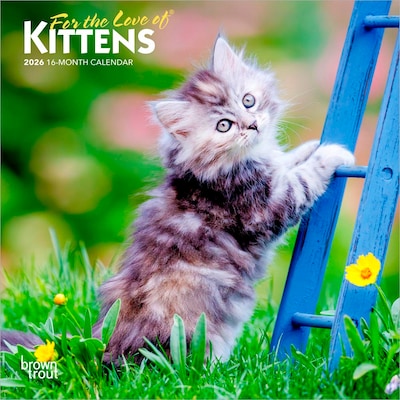 2026 BrownTrout For the Love of Kittens 7 x 7 Monthly Wall Calendar (9798330704132)