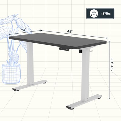 FlexiSpot E2 48''W Electric Adjustable Standing Desk, Black/White (E2W4824B)