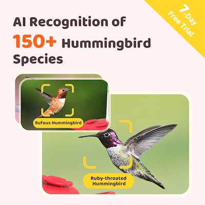 Birdfy Smart Hummingbird Feeder Ruby with Camera and AI by Subscription, Red (EPPAMBNI8902100)