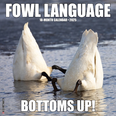 2025 Willow Creek Fowl Language 12 x 12 Yearly Wall Calendar (42922)