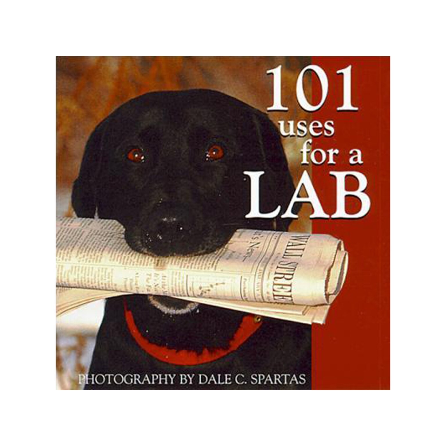 101 Uses For A Lab, Chapter Book, Hardcover (1319)