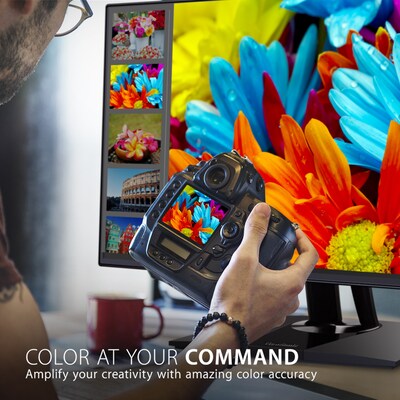ViewSonic ColorPro 32 4K Ultra HD 60 Hz LED Monitor, Black (VP3256-4K)
