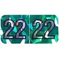 Medical Arts Press Holographic End-Tab Year Labels, 2022, Green, 500/Roll (0722HGN)