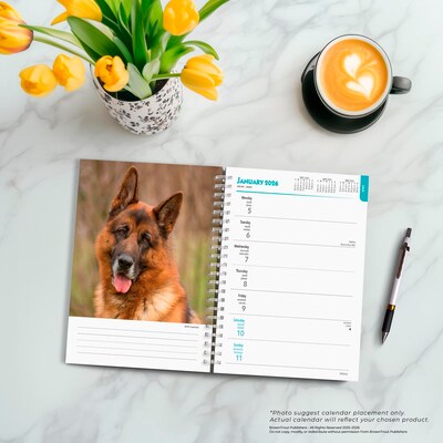 2026 BrownTrout German Shepherds 6.5" x 7.75" Weekly Planner (9798330703371)